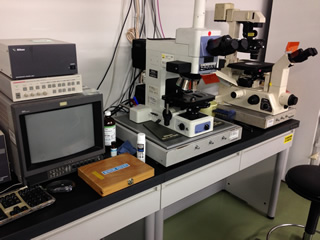 落射蛍光顕微鏡(左)と万能倒立顕微鏡(右)